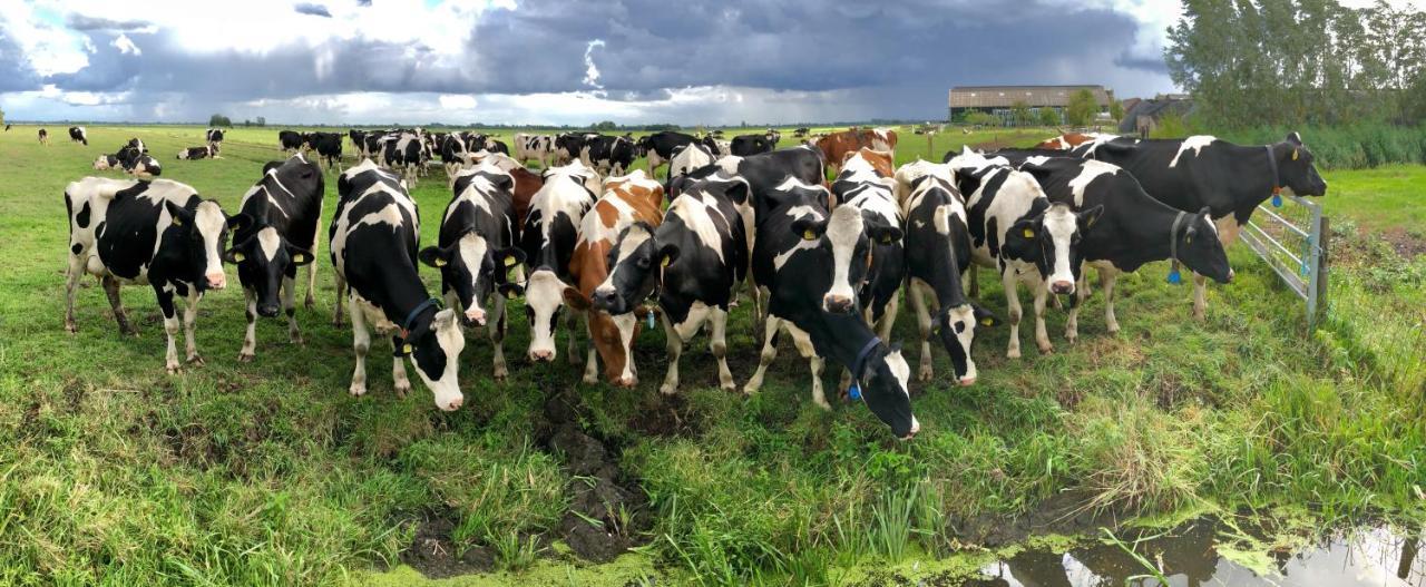 Bed and Breakfast Slapen Op Het Platteland Bodegraven Exterior foto