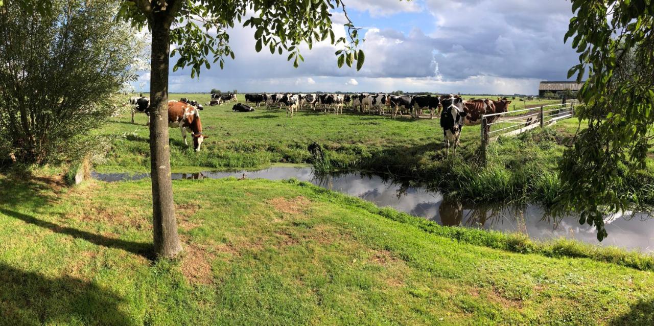 Bed and Breakfast Slapen Op Het Platteland Bodegraven Exterior foto