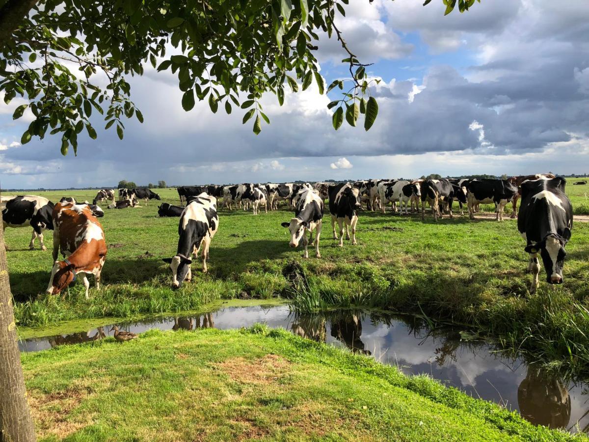 Bed and Breakfast Slapen Op Het Platteland Bodegraven Exterior foto