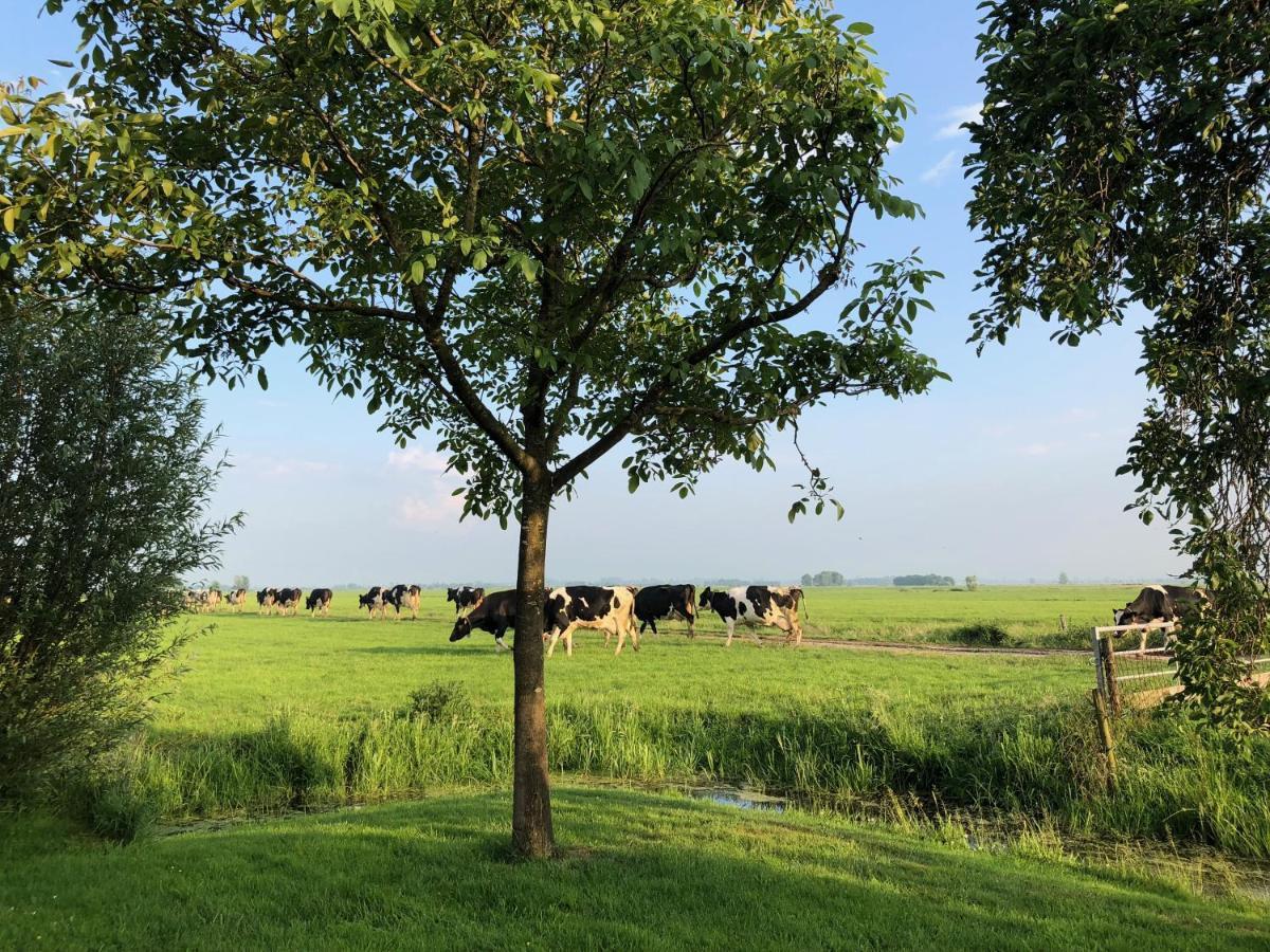 Bed and Breakfast Slapen Op Het Platteland Bodegraven Exterior foto